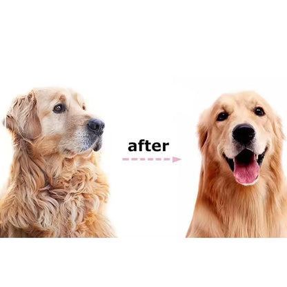 GoodBoy DualGroom Pro – Dematting & Deshedding Brush